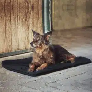 CATAGO FIR-Tech Pro hundeteppe. Infrarød varme